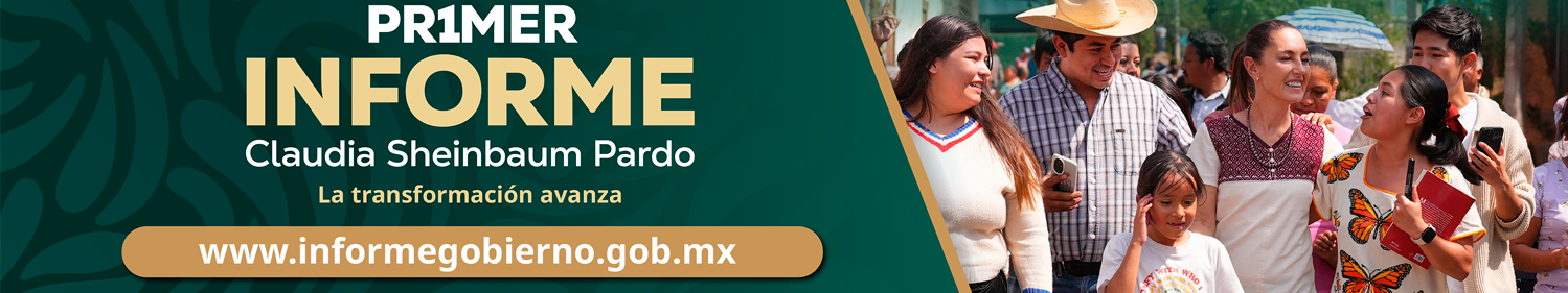 Primer Informe
